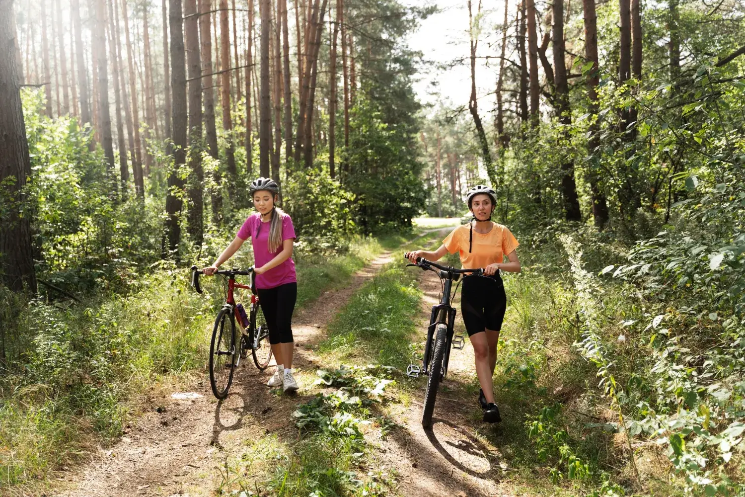 Agence Éventail, experte en organisation d’événements plein air en Charente-Maritime.
